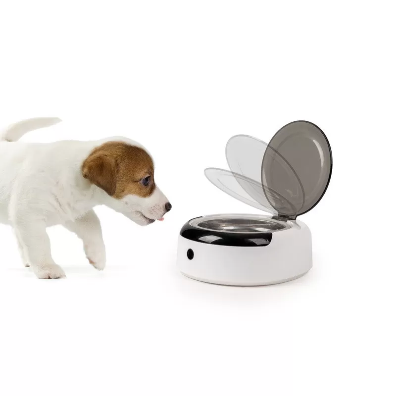 CAMP4 Gamelle Avec Détecteur De Présence 5 CAMP4 Gamelle Avec Détecteur De Présence – Image 3