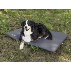 CAMP4 Matelas Pour Chien T5-T6 California 7 CAMP4 Matelas Pour Chien T5-T6 California -Matériel De Camping camp4 matelas pour chien t5 t6 california 1