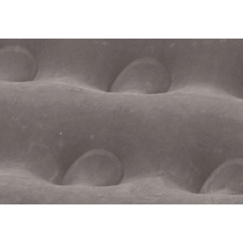 OUTWELL Flock Excellent 6 OUTWELL Flock Excellent – Image 4